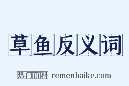 草鱼反义词是什么意思的图片